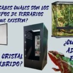 Cómo elegir el mejor equipamiento para tu terrario de reptil para camaleones