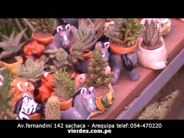 Decoraciones tropicales para terrarios en Arequipa