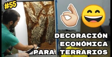 Decoraciones tropicales para terrarios en Caracas