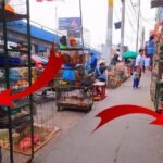 Dónde comprar ropa para reptiles en Arequipa