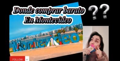 Dónde comprar ropa para reptiles en Montevideo
