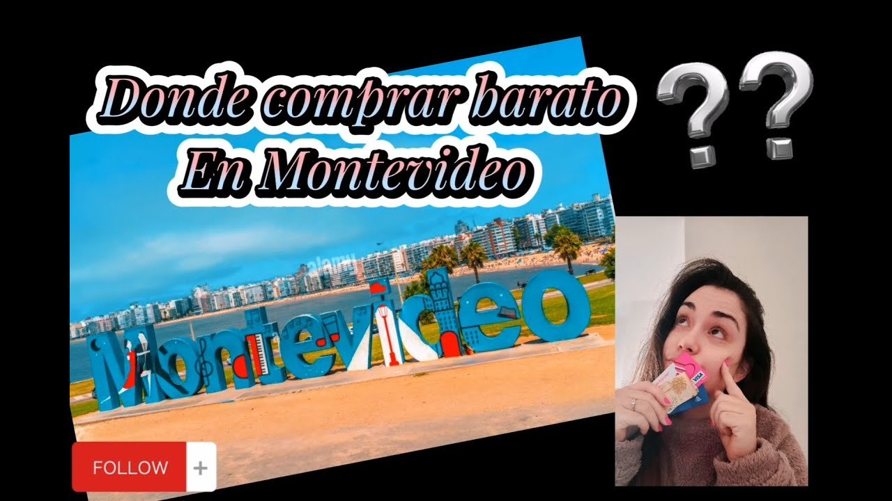 Dónde comprar ropa para reptiles en Montevideo