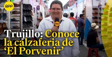 Dónde comprar ropa para reptiles en Trujillo