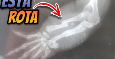 Errores comunes durante la reproducción de reptiles con incubadora artificial