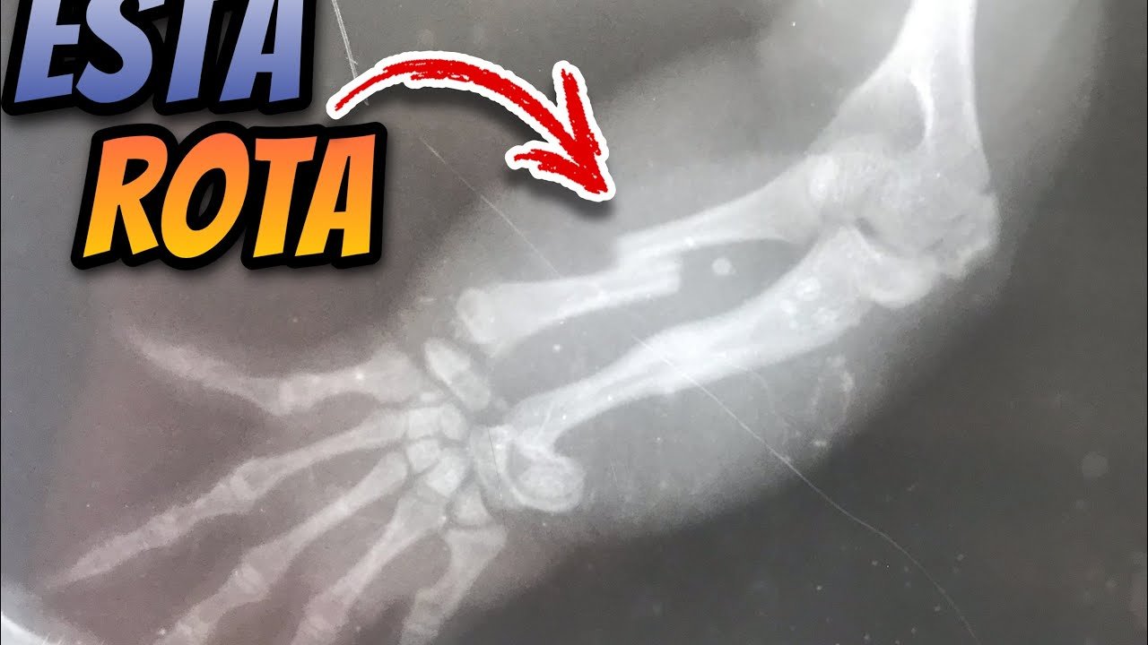 Errores comunes durante la reproducción de reptiles durante la primavera