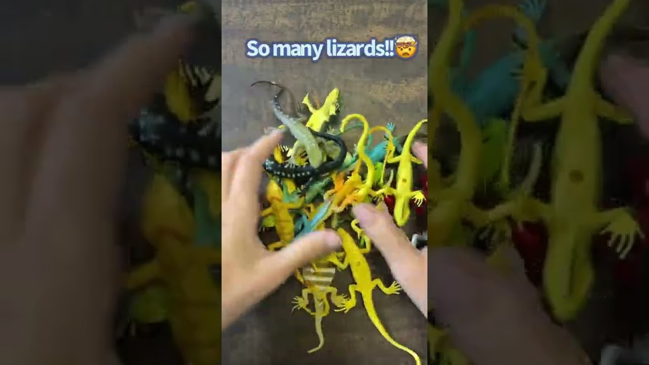 Juguetes para reptiles activos en Caracas