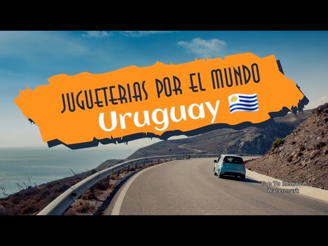 Juguetes para reptiles activos en Montevideo