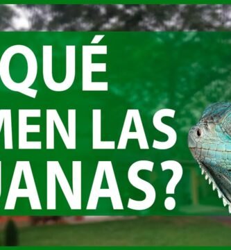 Nutrición balanceada para iguanas domésticas con alimentos naturales