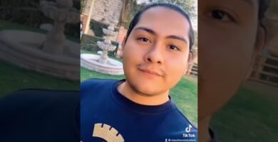 Nutrición balanceada para iguanas domésticas según especie