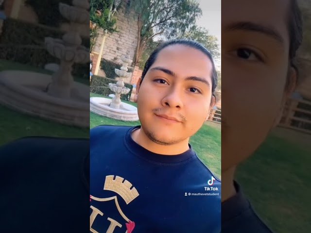 Nutrición balanceada para iguanas domésticas según especie