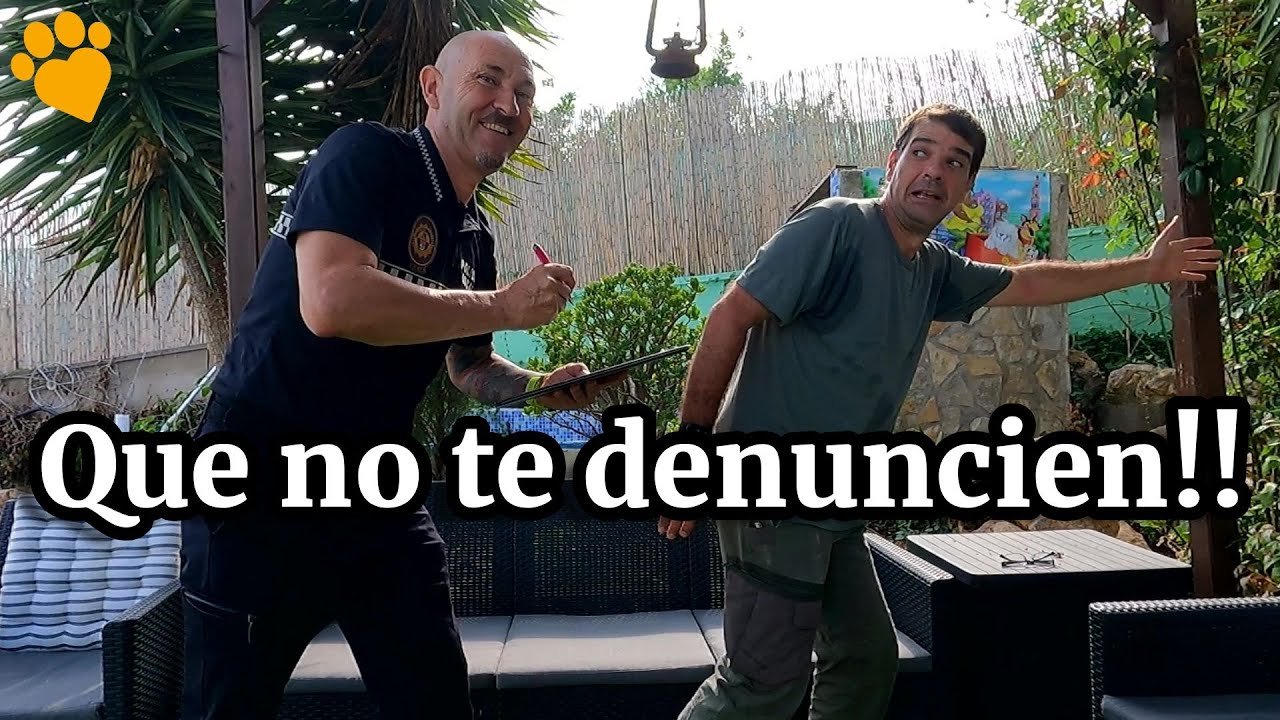 Qué necesita una casa de reptil para estar bien equipada según normas de bienestar animal