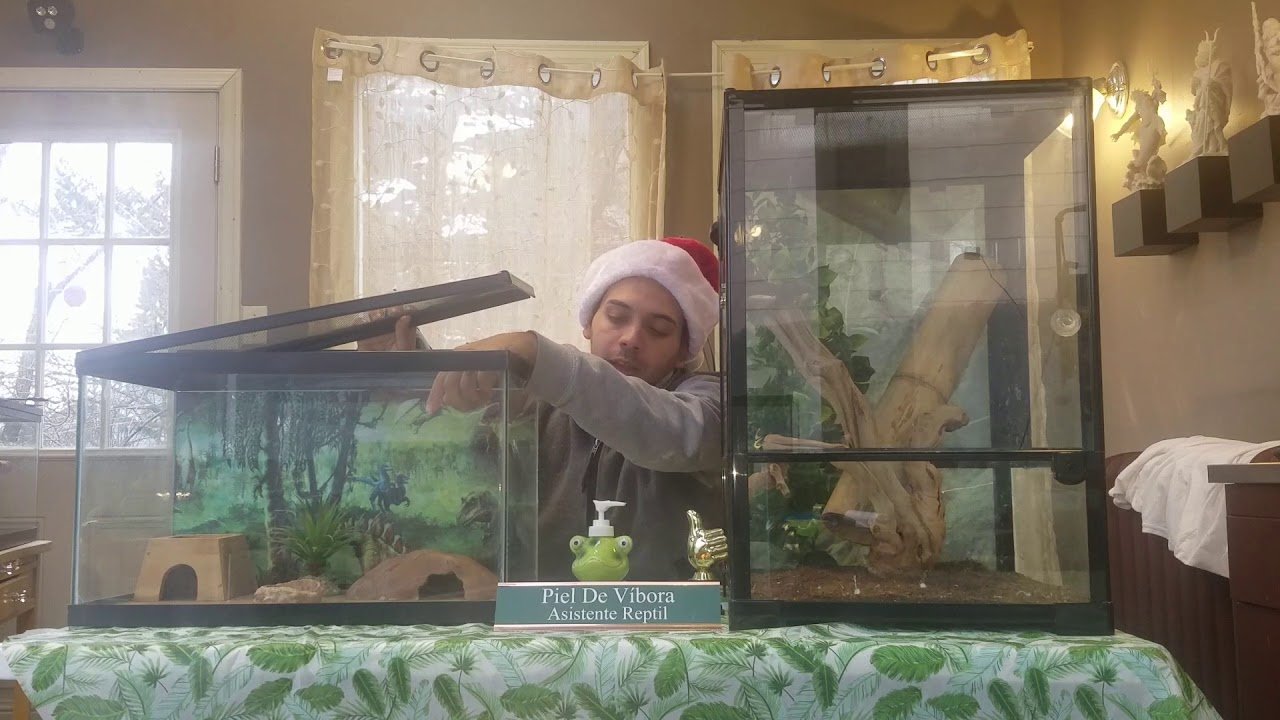 Qué necesita una casa de reptil para estar bien equipada sin complicaciones