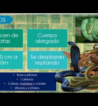 Reacciones comunes de los reptiles al ser manipulados con alimentación especial