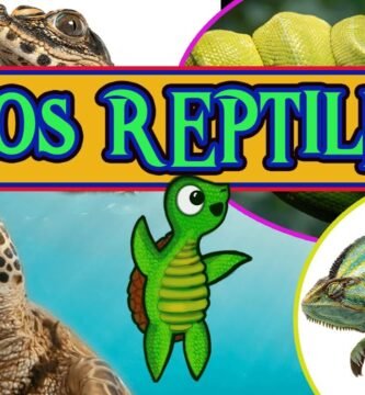 Reacciones comunes de los reptiles al ser manipulados en espacios pequeños