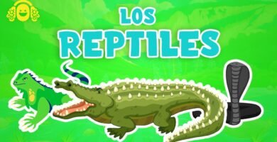 Reacciones comunes de los reptiles al ser manipulados para dueños primerizos