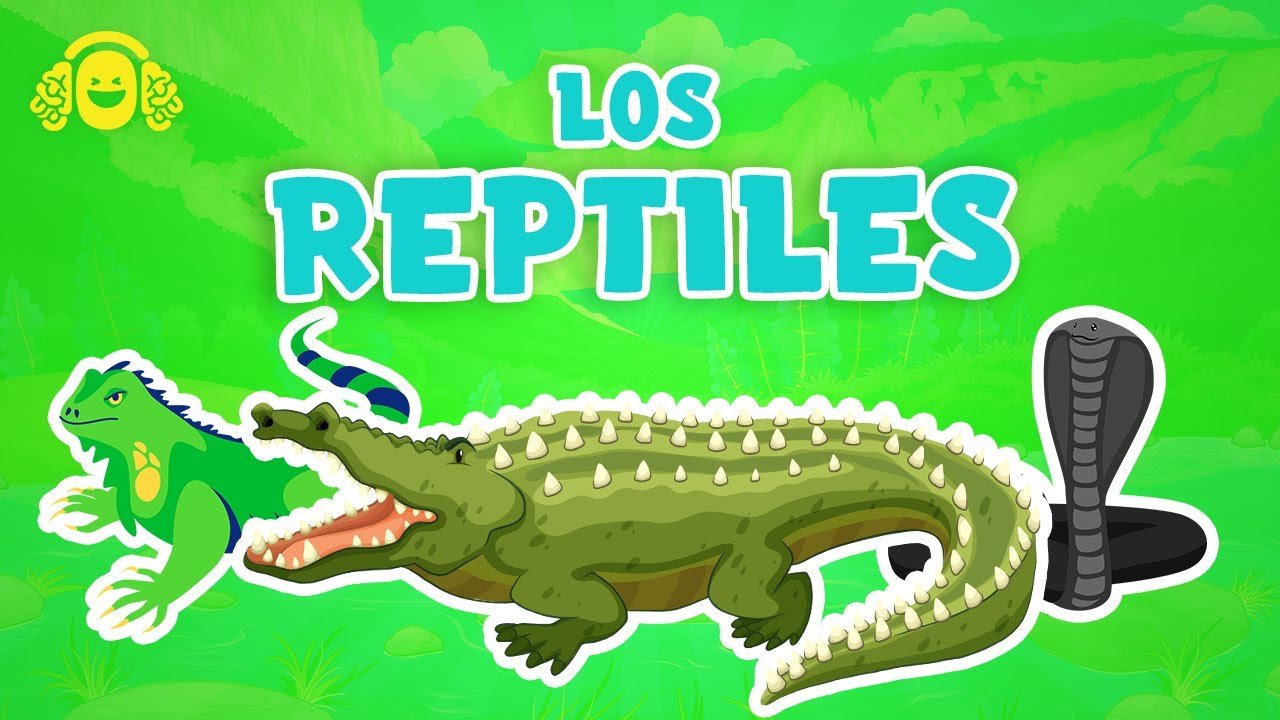 Reacciones comunes de los reptiles al ser manipulados para dueños primerizos