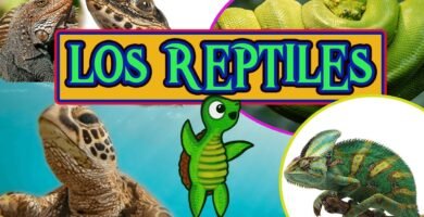Reacciones comunes de los reptiles al ser manipulados para niños