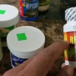 Suplementos esenciales en la dieta de reptiles en casa con alimentos naturales