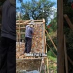Casas de reptiles hechas en casa: guía paso a paso con estilo natural
