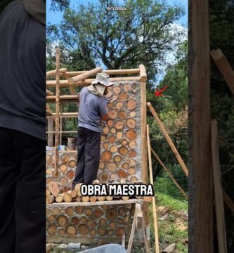 Casas de reptiles hechas en casa: guía paso a paso con estilo natural
