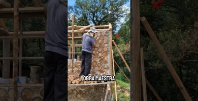 Casas de reptiles hechas en casa: guía paso a paso en jardines