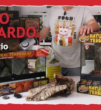 Cómo elegir el mejor equipamiento para tu terrario de reptil para geckos