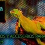 Cómo elegir el mejor equipamiento para tu terrario de reptil para iguanas