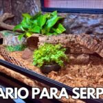 Cómo elegir el mejor equipamiento para tu terrario de reptil para serpientes