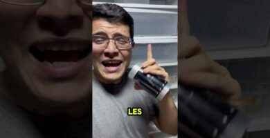 Cómo estimular la reproducción en reptiles mascota con temperatura controlada