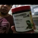 Cómo estimular la reproducción en reptiles mascota explicada por veterinarios