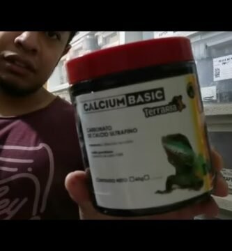 Cómo estimular la reproducción en reptiles mascota explicada por veterinarios