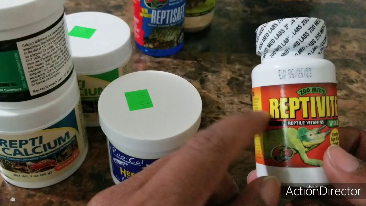 Suplementos esenciales en la dieta de reptiles en casa con fuentes de calcio naturales