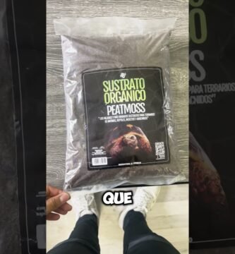 ¿Por qué mi reptil escarba constantemente en el sustrato? explicado paso a paso