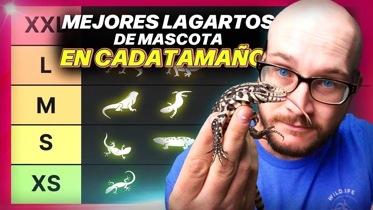 Cómo elegir el tamaño adecuado para la casa de tu reptil adaptadas a reptiles grandes