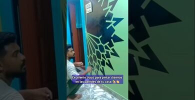 Diseño de casas de reptiles para espacios pequeños en interiores