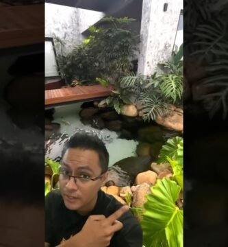 Diseño de casas de reptiles para espacios pequeños en jardines