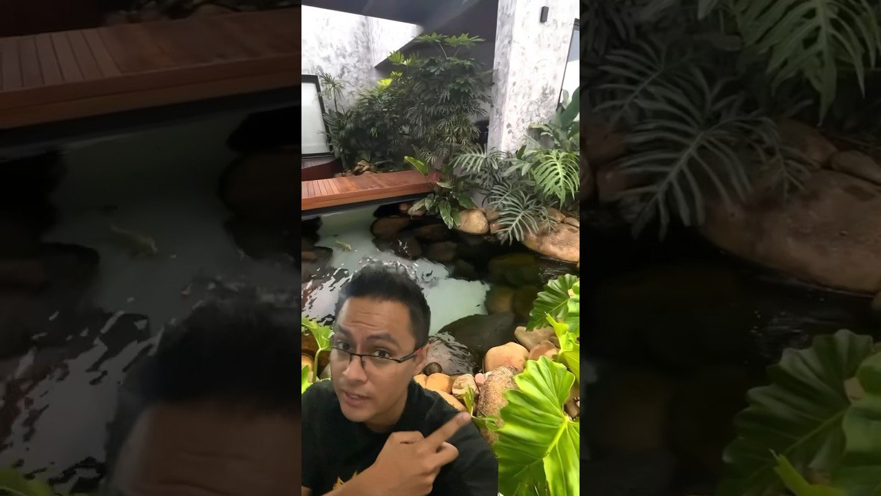 Diseño de casas de reptiles para espacios pequeños en jardines