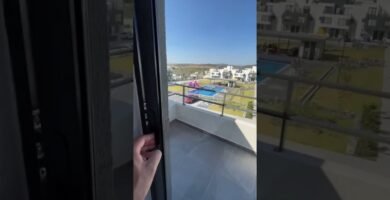 Diseño de casas de reptiles para espacios pequeños en terrazas