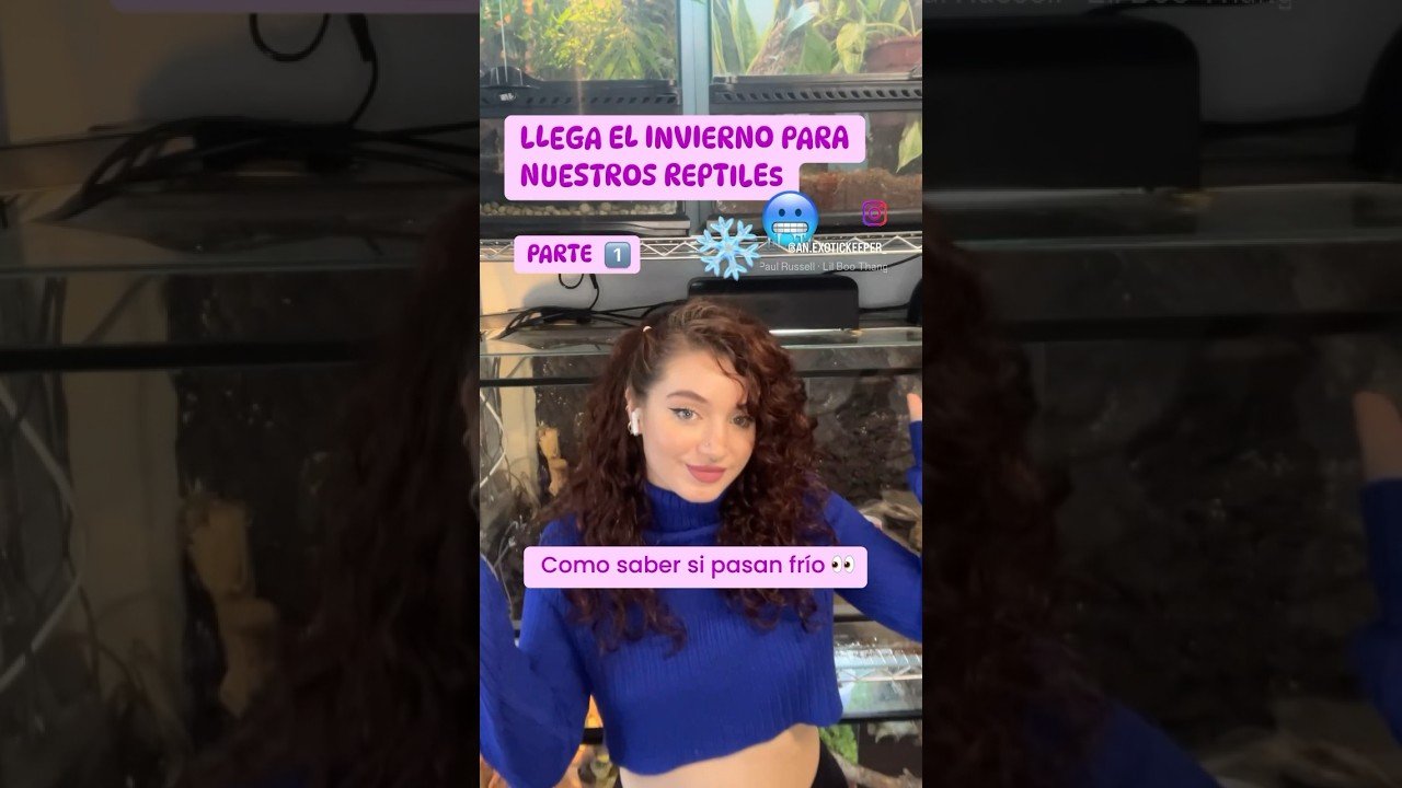 El comportamiento de los reptiles cuando tienen frío explicado paso a paso
