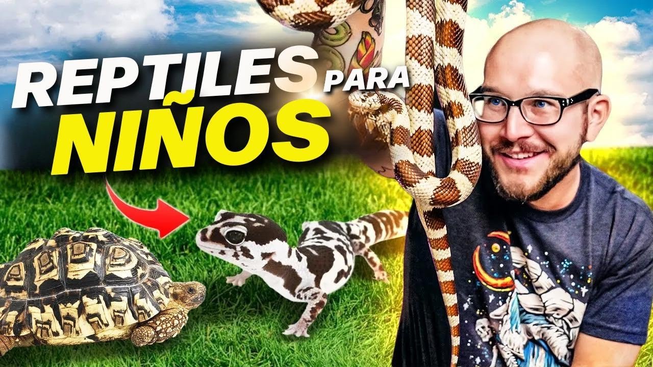 Fertilización en reptiles: conceptos básicos para dueños primerizos