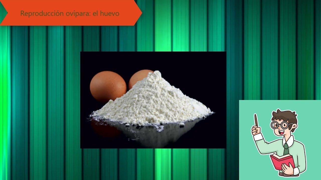 Fertilización en reptiles: conceptos básicos según expertos