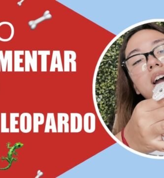 Guía completa de alimentación para geckos leopardo con fuentes de calcio naturales