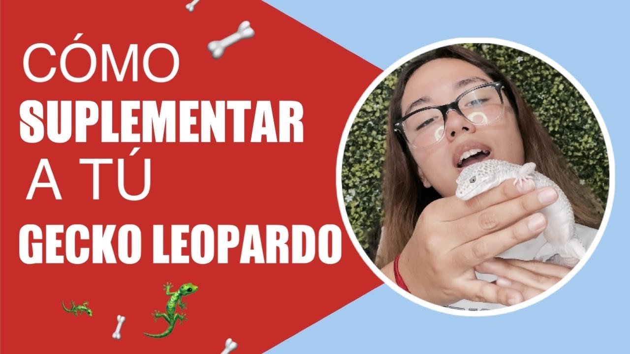 Guía completa de alimentación para geckos leopardo con fuentes de calcio naturales