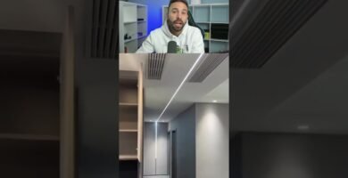 Lámparas ideales para casas de reptiles en interiores en exteriores