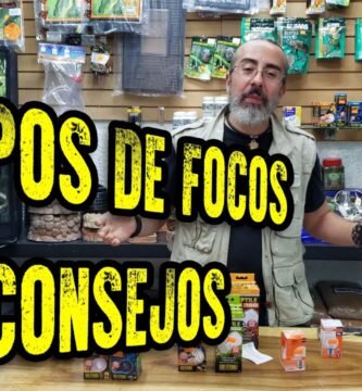 Lámparas ideales para casas de reptiles en interiores para geckos