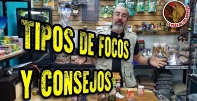 Lámparas ideales para casas de reptiles en interiores para geckos