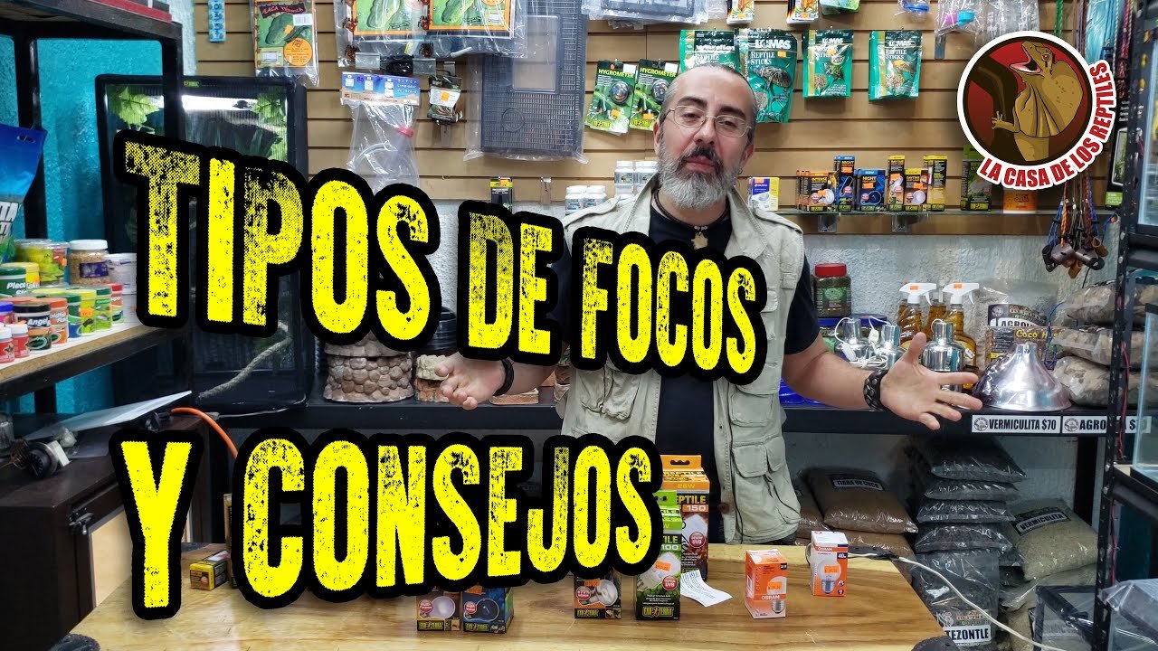 Lámparas ideales para casas de reptiles en interiores para geckos