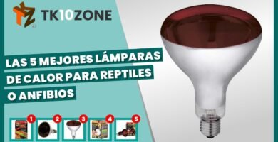 Lámparas ideales para casas de reptiles en interiores sin afectar la salud del reptil