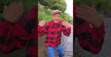 Qué frutas pueden comer los reptiles en casa explicada por veterinarios