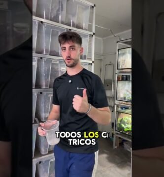 Qué frutas pueden comer los reptiles en casa sin errores
